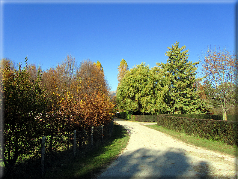 foto Alle pendici del Monte Grappa in Autunno